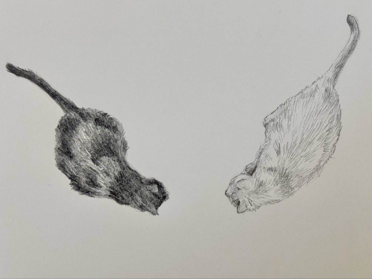 callanable's tweet image. with all the upheaval in my life this year, it was hard to find creative energy. I’ve been beating myself up for not setting up my oil paints yet—it’s a LOT of work.
finally I made myself pick up a pencil. “just draw for five minutes.”
anyway, here’s two cats ☺️