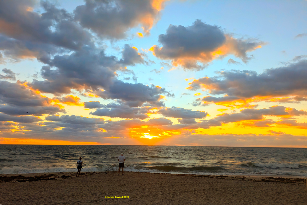 James Bovard tweet media