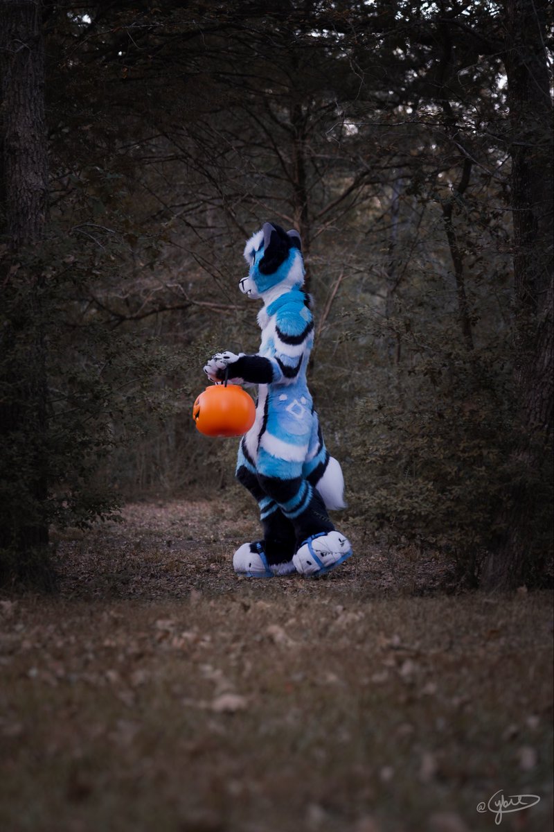 I think I’m lost 

🧵 <a href="/sheenitude/">Sheenitude</a>