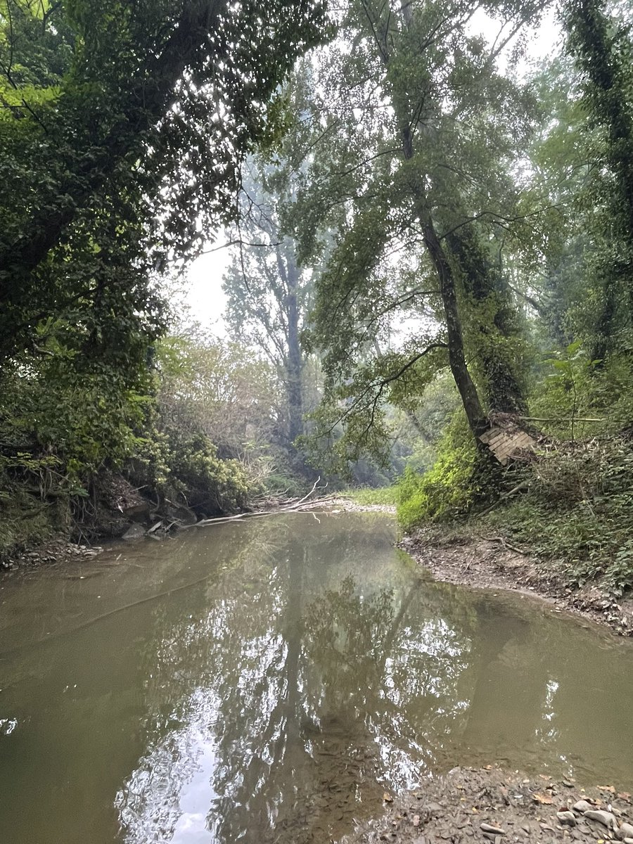 Contratti di Fiume tweet media
