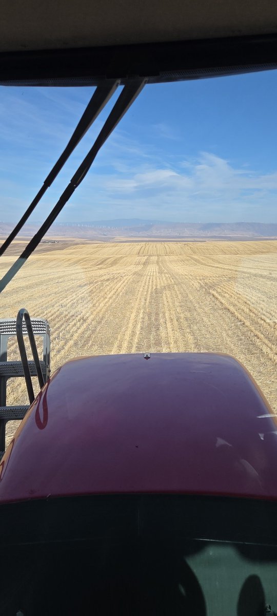 OSUmacnab's tweet photo. Got off drill seeding wheat and jumped on sprayer to put down some residuals down before weather sets in. some metribuzin and flumi. https://t.co/nVTAdURwrE