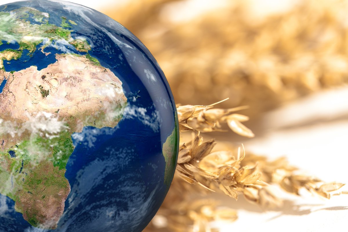 binmasterusa's tweet image. Feed companies worldwide trust BinMaster for ingredient &amp;amp; inventory management! One million metric tons is a lot of feed to measure—our sensors are up for the job. BinCloud® software adds multi-site &amp;amp; bin-specific insights! okt.to/e4f5mY 🌏 #BulkStorage #Agriculture