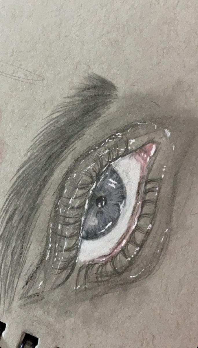 Monty (@caesarthefool) on Twitter photo 