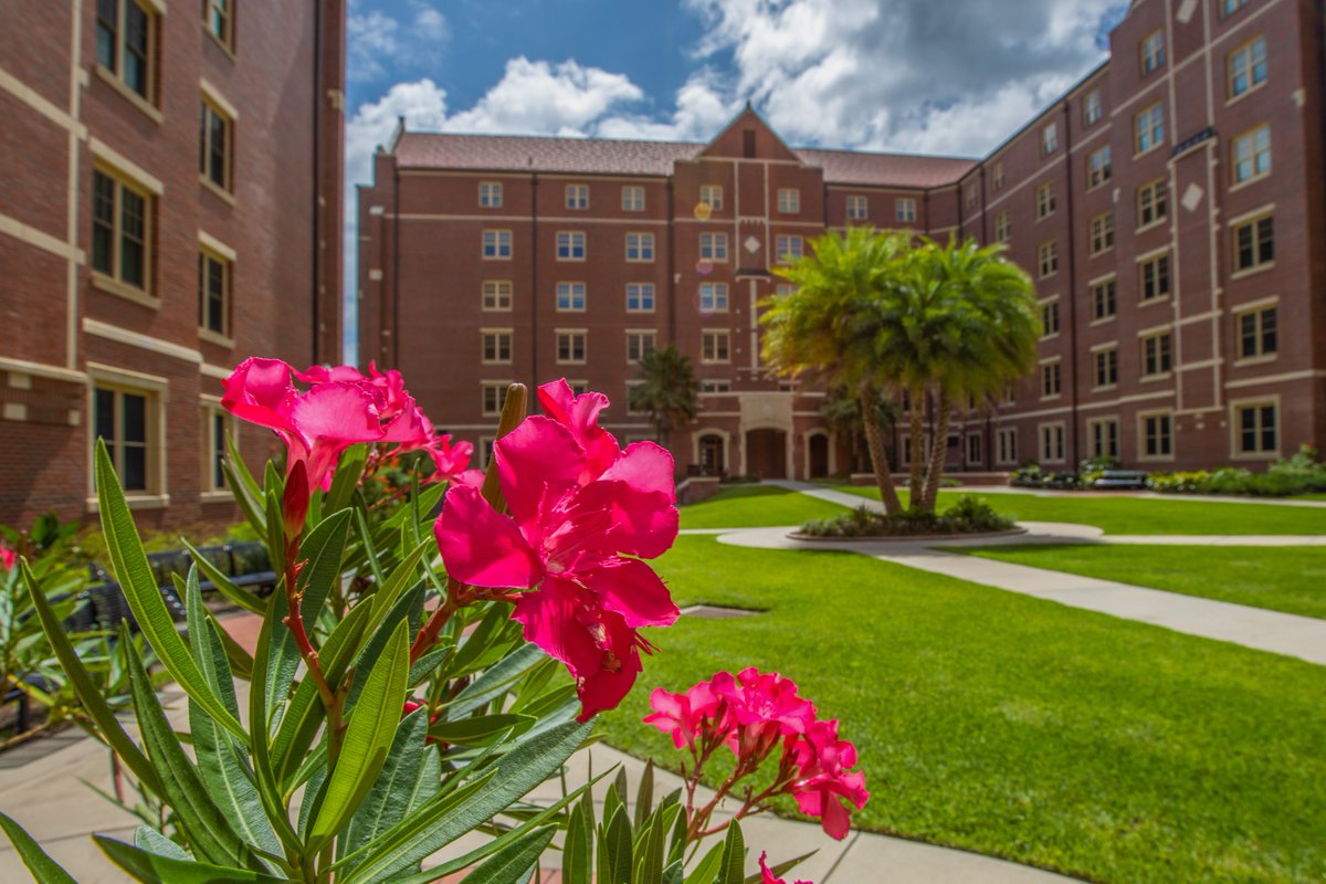 FSUFacilities's tweet photo. Happy National Color Day! From the deep greens of our campus gardens to the iconic garnet and gold that unite us all — color brings energy, creativity, and life to every corner of FSU.
#FSU #FSUFacilities #BuildingExcellence #NationalColorDay #FSUCampus https://t.co/N7VWHdNDju