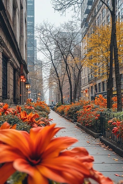 Autumn  Flowers 🍃🧡🍃