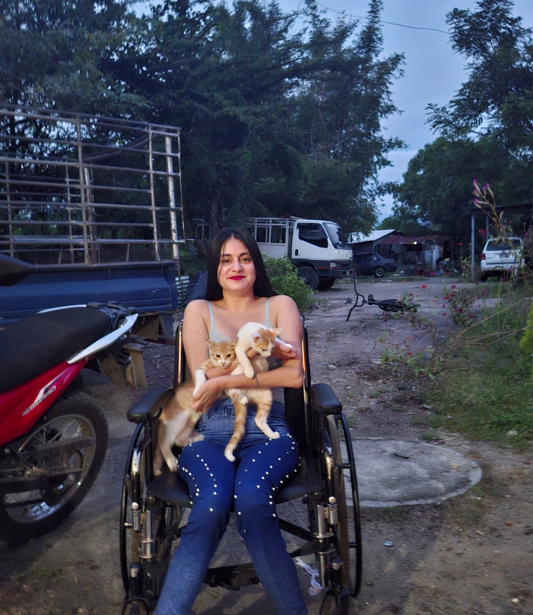 XiomaPortillo91's tweet photo. 😍🐈🐈 https://t.co/lv4scf06MK
