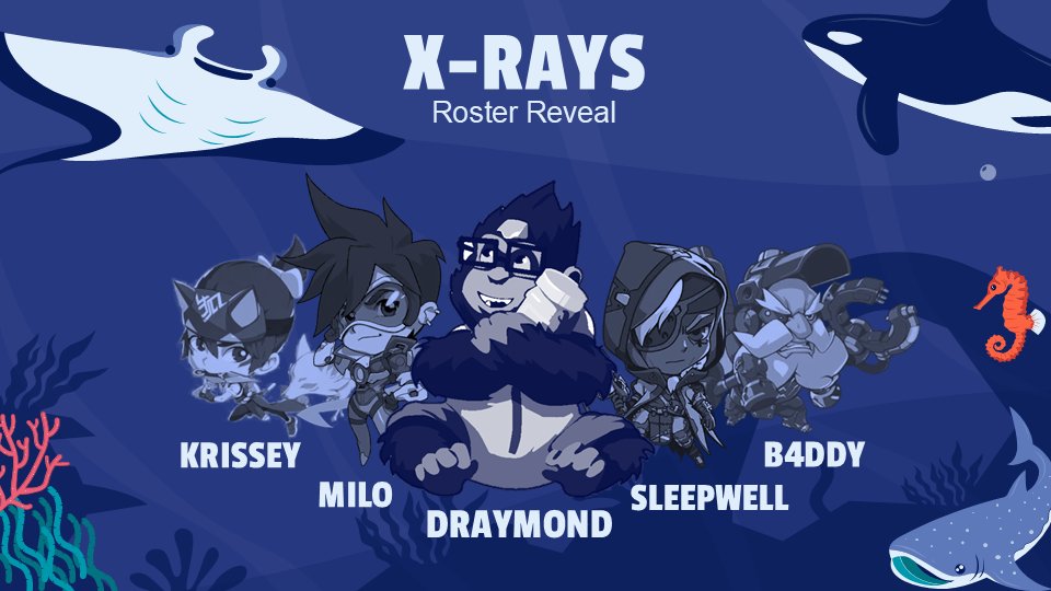 X-Rays Uniliga Roster Reveal Season WS25/26! 

 🛡️: Draymond (he/him)
🔫: Milo (he/him)
🔫: B4ddy (he/him)
💉: Sleepwell (she/her)
💉: Krissey (she/her)