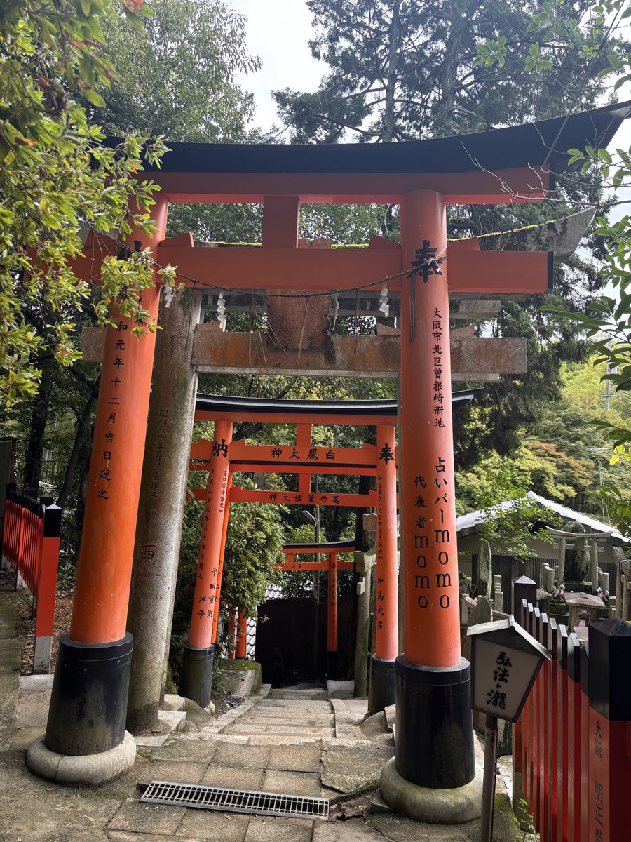 LoKi 😈 tweet media