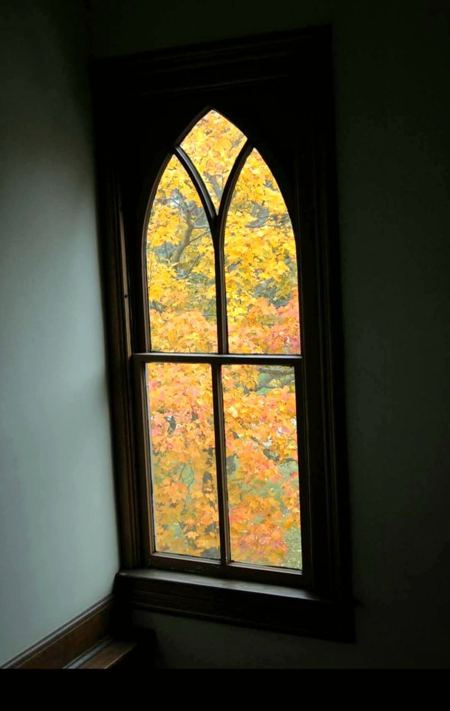 Jules_Atkinson's tweet image. We need more photography on X 
📸✨️
If you agree, post a picture!