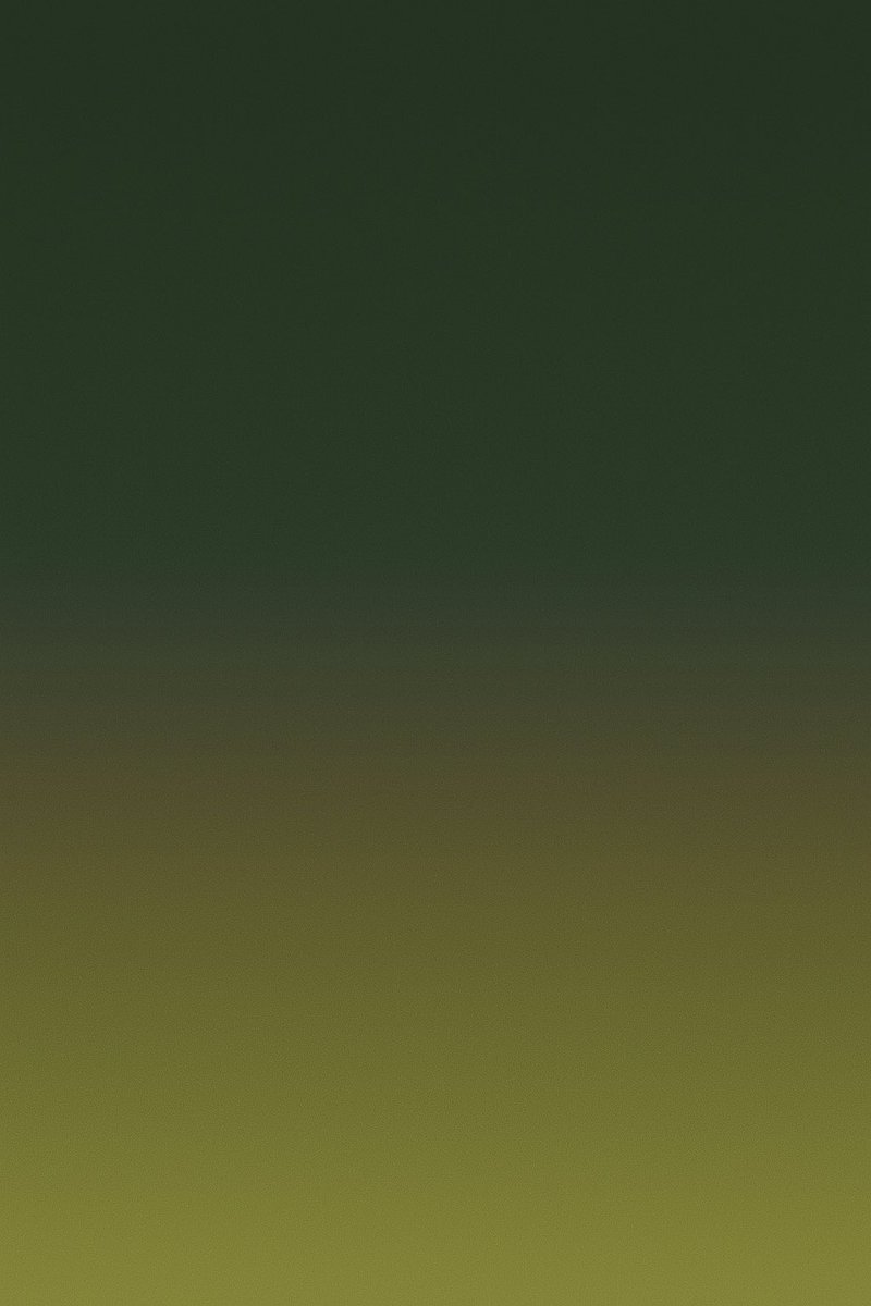 thephonewall's tweet image. A little color inspo: the quiet, deep greens of late autumn meeting a warm, golden sunset. #LockscreenMood #GradientVibes #MinimalSetup #PhoneWallpaper #VisualQuiet