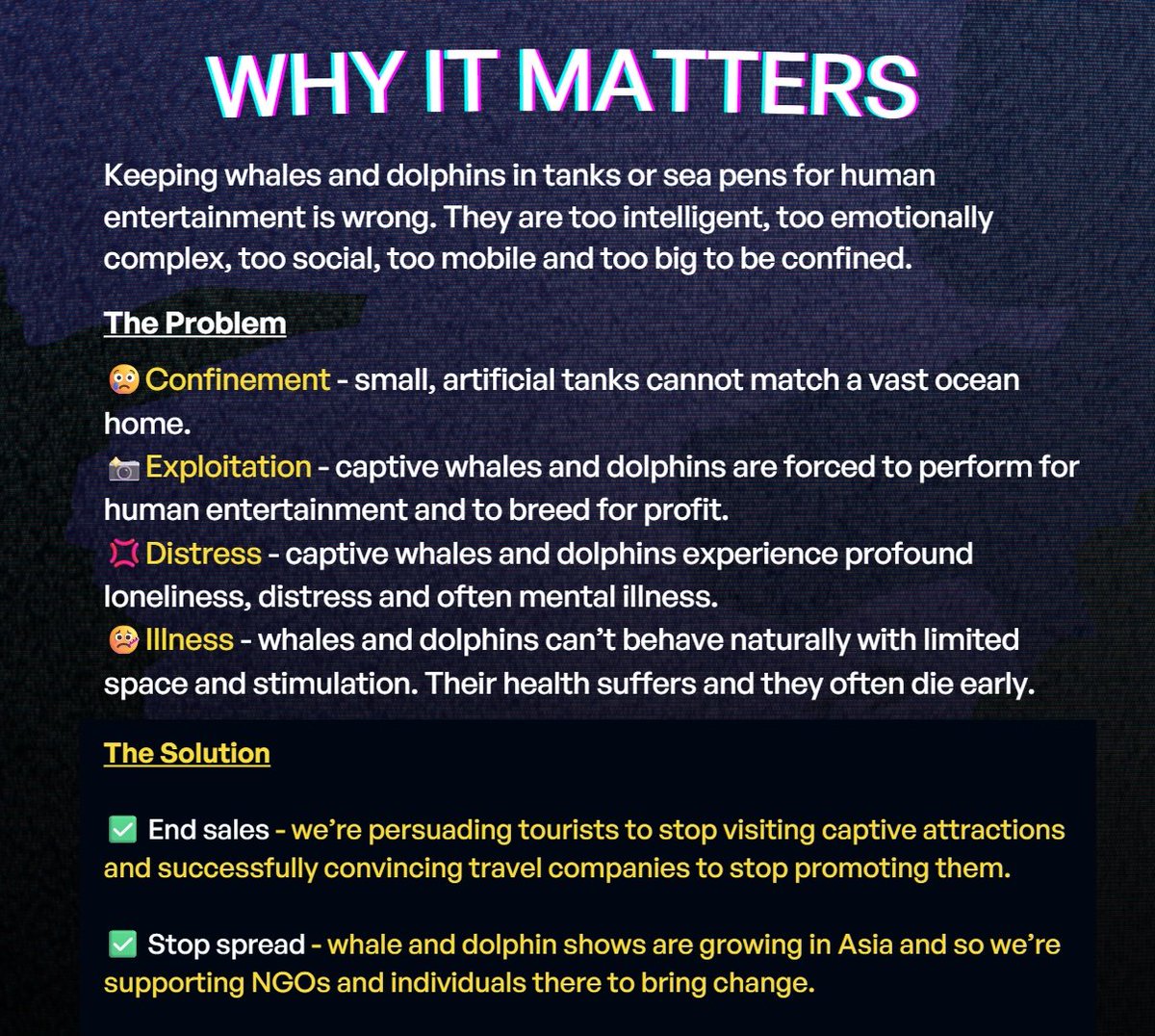 Whales and Dolphins need to be wild and free, they do not deserve to be locked up and confined!

We need to stop whale and dolphin captivity!

Free things you can do to help?
🔁 Spread Awareness! Repost!
❌ Don't go to the show! Do not attend attractions that have them confined.
