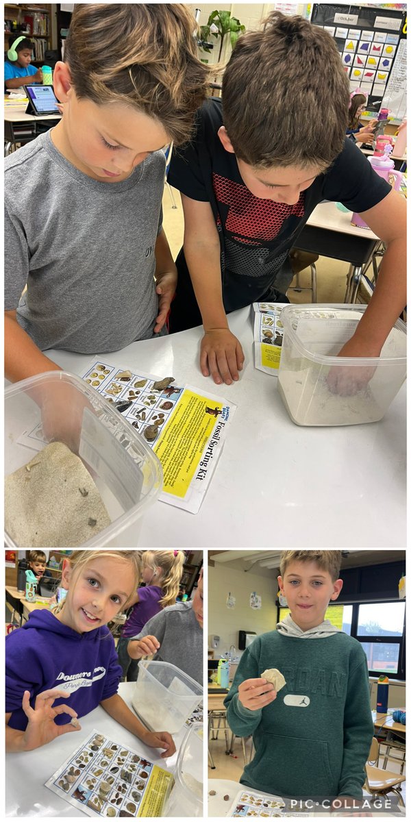 Mrs. Nedic tweet media