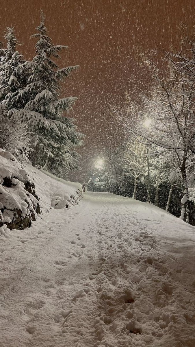 earthcurated's tweet image. You wake tomorrow to this.

What is the first thing you do?