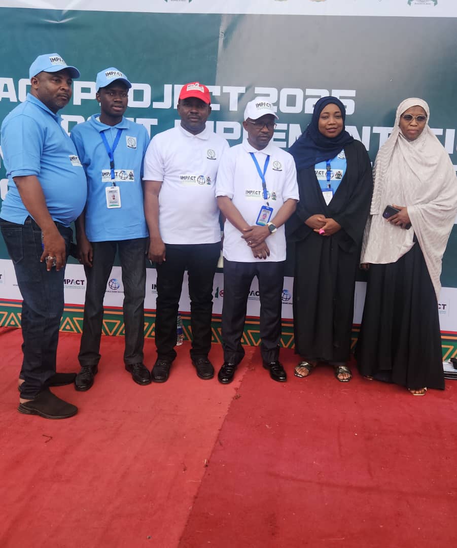 Kano Impact Project tweet media
