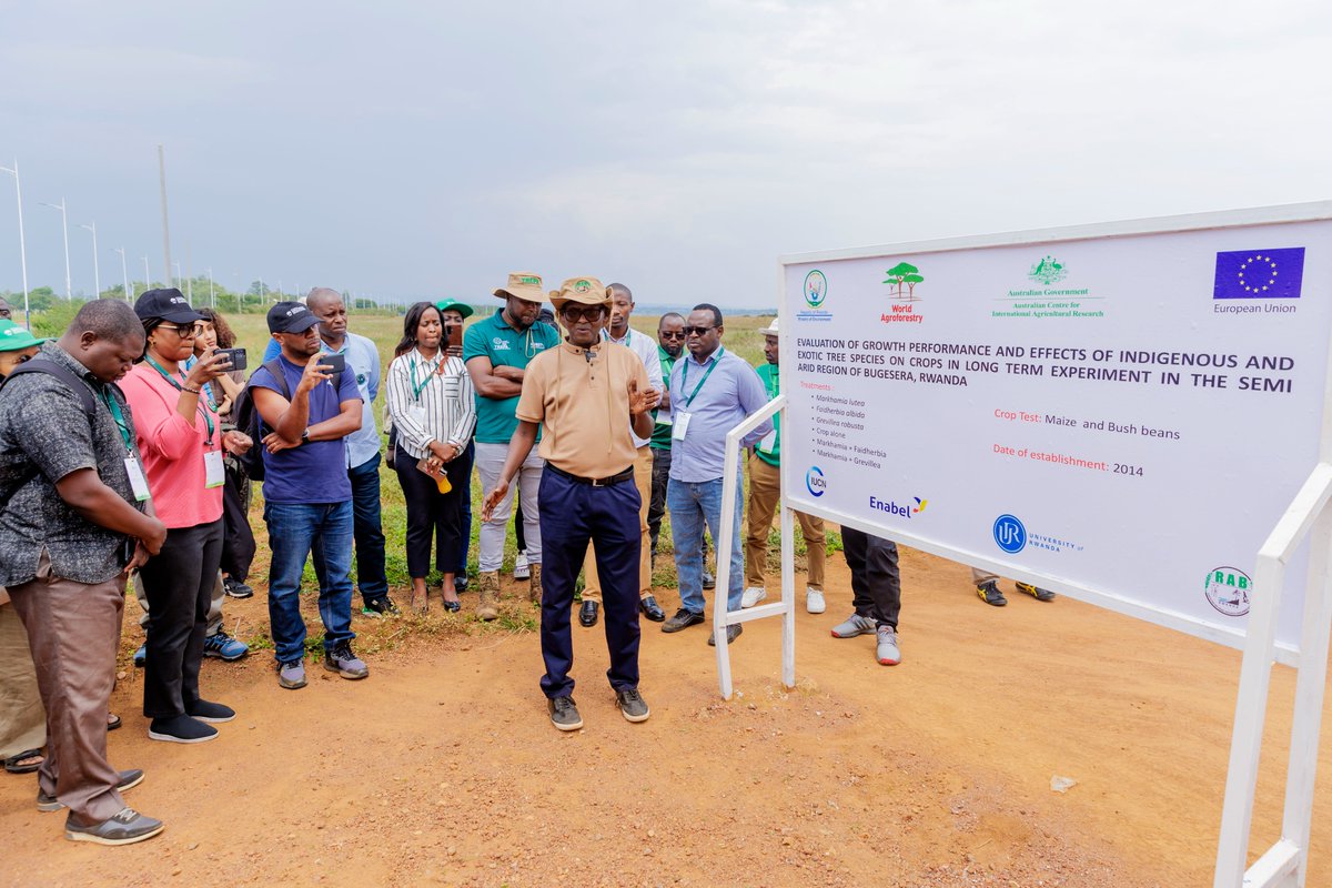 wcagroforestry's tweet image. Today, #WCA2025🌳 participants visited @RICA_Rwanda and @GreenGicumbi project to gain practical insights into agroforestry practices in Rwanda. This experience highlighted the importance of sustainable land management for both communities and the environment.
#Agroforestry