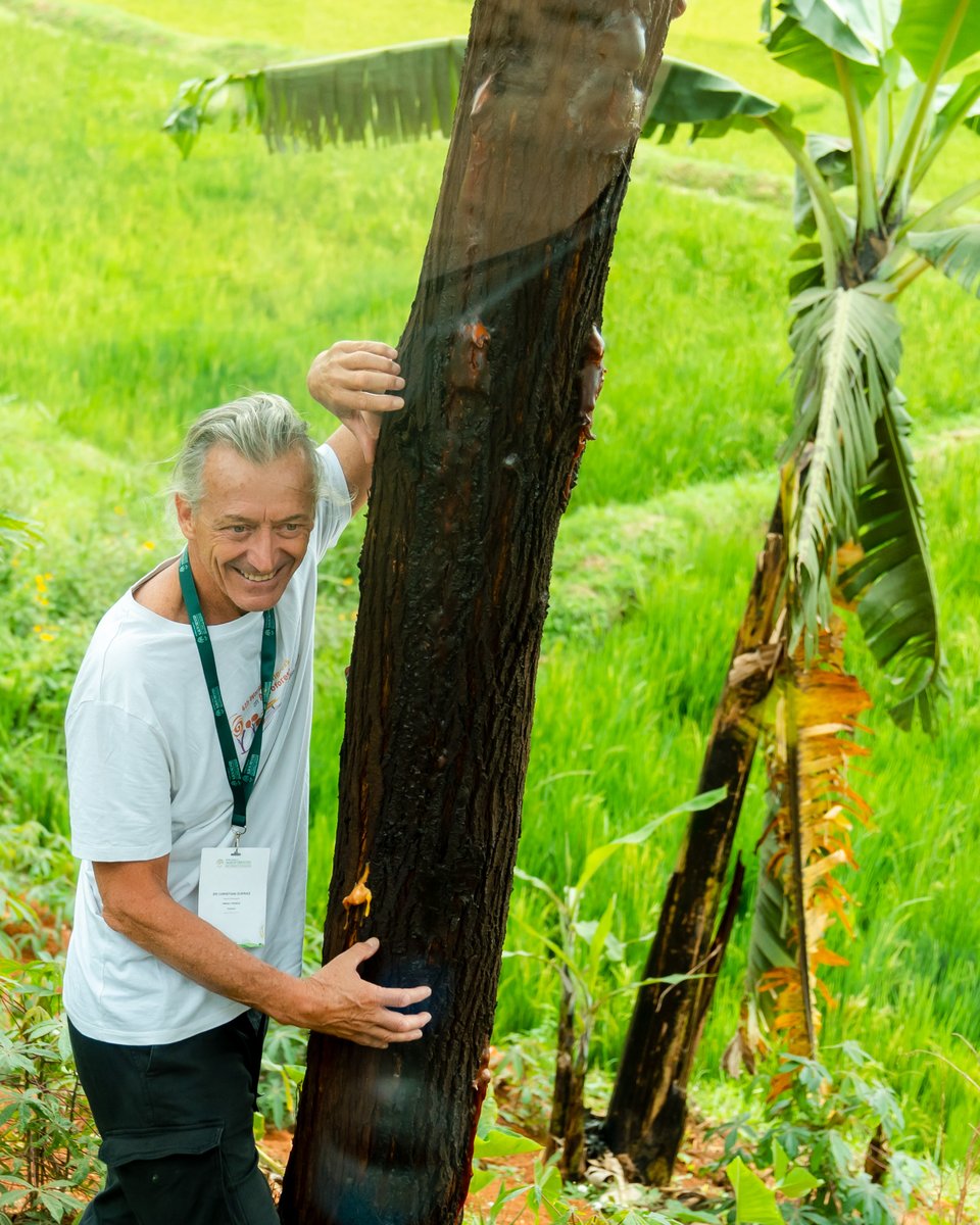 wcagroforestry's tweet image. Today, #WCA2025🌳 participants visited @RICA_Rwanda and @GreenGicumbi project to gain practical insights into agroforestry practices in Rwanda. This experience highlighted the importance of sustainable land management for both communities and the environment.
#Agroforestry