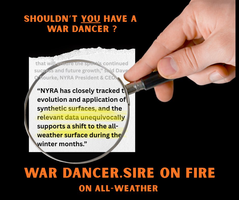 WAR DANCER progeny excel on 
all-weather tracks. 

WAR DANCER will stand at Mill Creek Farm for the 2026 season.