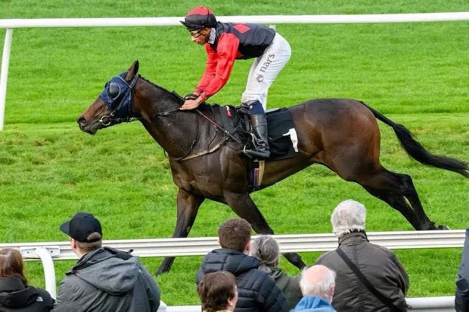 We still have 23.75% available in our recent <a href="/MusselburghRace/">Musselburgh Racecourse</a> 2nd Fear And Fast (3yo gelding). He will be running again soon and we think he will improve a lot next year. 

Book your share now - LBLhorses@gmail.com. website - letsbeluckyracing.com. <a href="/JimGoldieRacing/">Jim Goldie Racing</a>