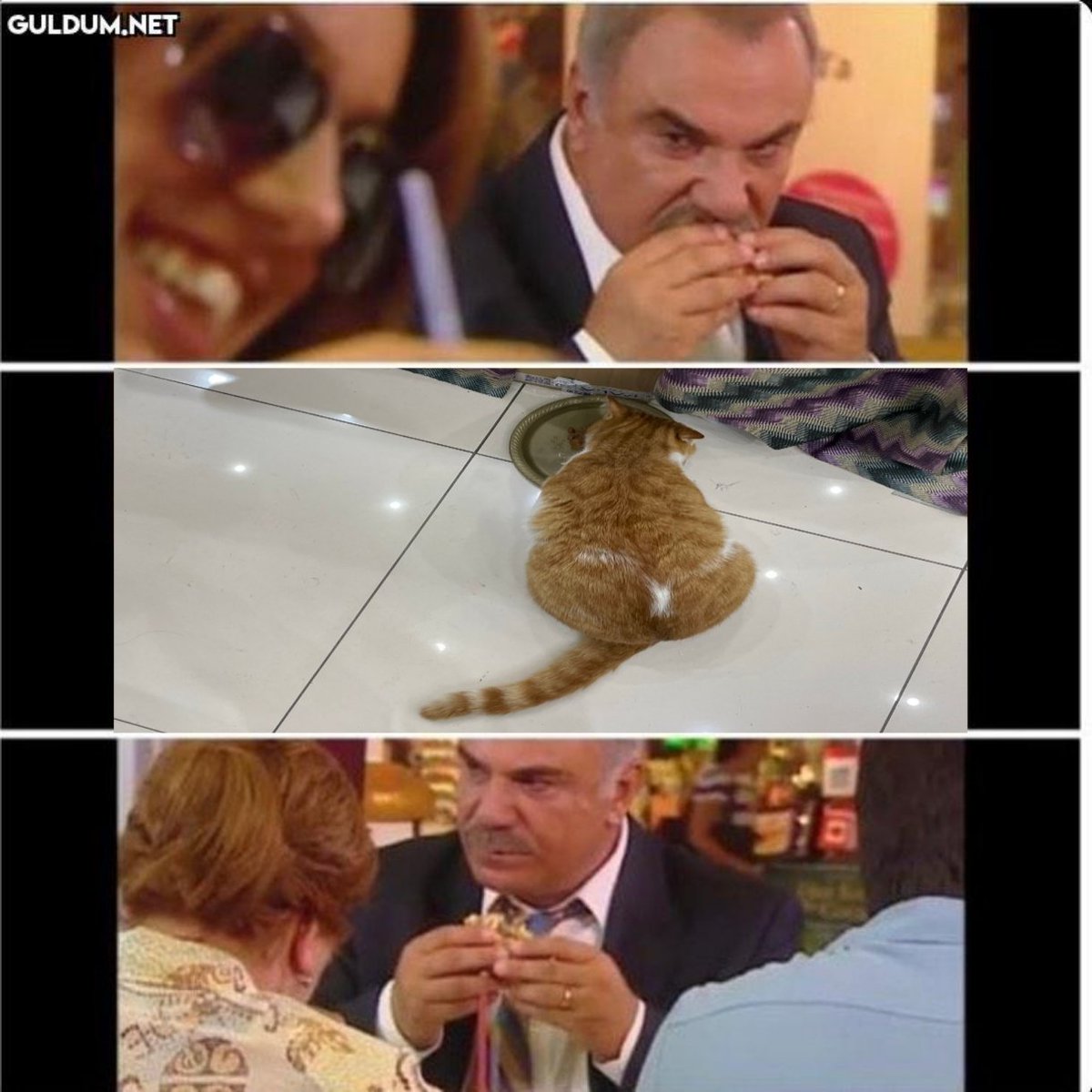 Hatalı Teşbih (Horatia Nelson) (@ustamsenbize) on Twitter photo 