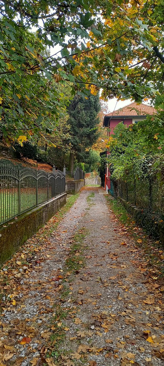Perderse en una Brunate otoñal.