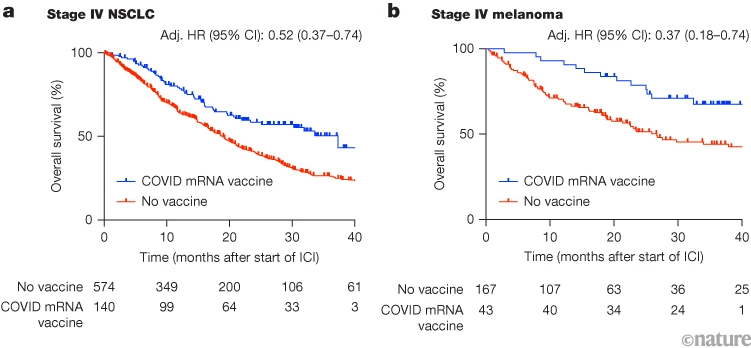 DrSamuelBHume's tweet photo. Recent Covid vaccination is associated with better response to immune checkpoint blockade, and therefore better survival, in lung cancer and melanoma

(This are observational data in humans, and were replicated in controlled experiments in mice)

If untargeted vaccines can do this, imagine what targeted cancer vaccines could do...