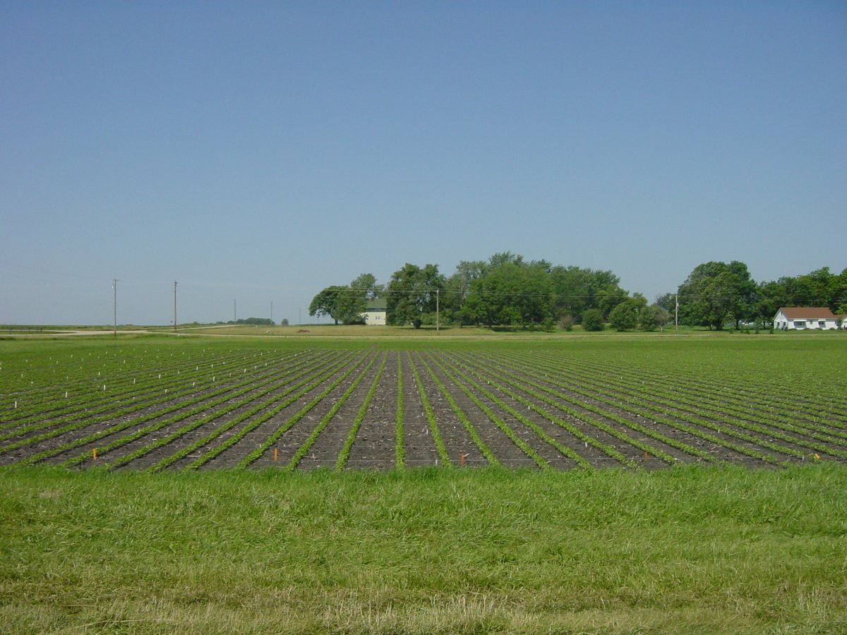SCN Coalition helps farmers fight relentless pest >>
cals.iastate.edu/news/2025/scn-…
<a href="/IowaSoybeans/">IowaSoybeans</a> <a href="/TheSCNCoalition/">The SCN Coalition</a>