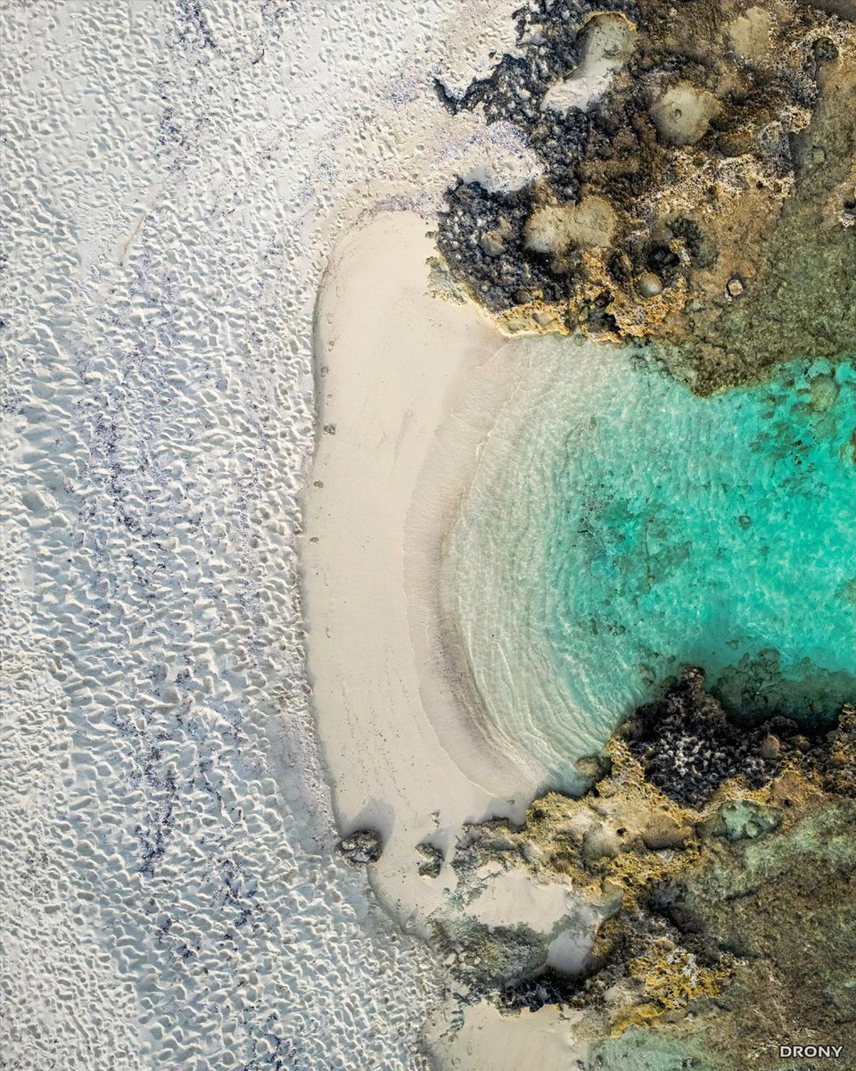 dronyofficial's tweet photo. Look at this tiny shore i have discovered in Cyprus.
It looks so exotic. 🏝️ #liopetri #cyprus https://t.co/ln0KLNE69x