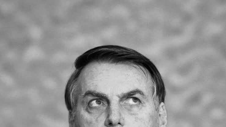 stalmust's tweet photo. Bolsonaro foi e será o último presidente com olhos azuis do Brasil https://t.co/VJe71em5UM