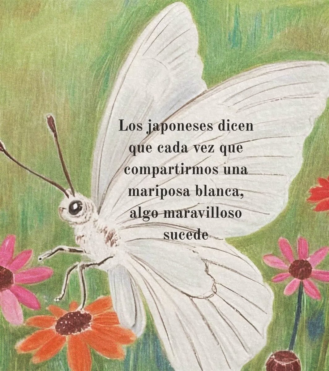 ramé (@escritosrame) on Twitter photo algo maravilloso te sucederá. algo maravilloso te sucederá.