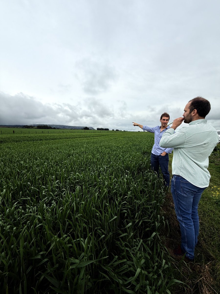 RUBISCO AGROPECUARIA SRL tweet media