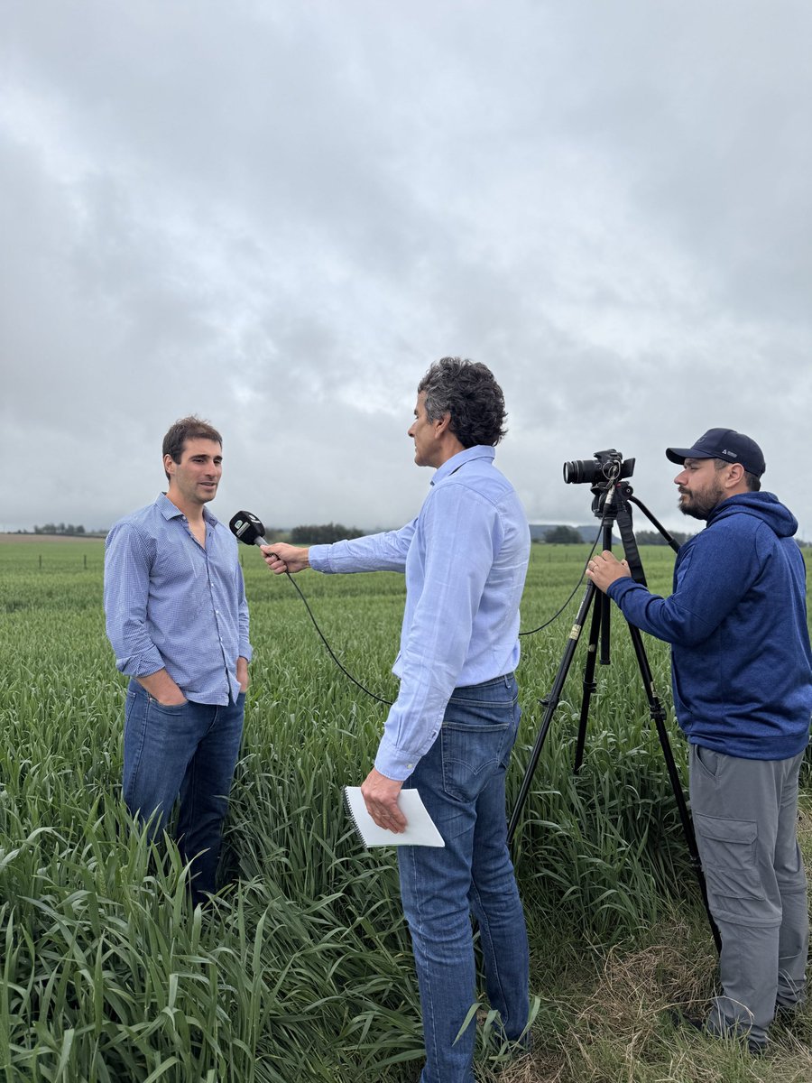 RUBISCO AGROPECUARIA SRL tweet media