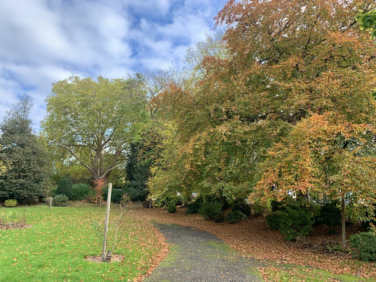 tompolkey's tweet photo. More autumn scenes demonstrated in these captures taken yesterday at Peterborough 21/10/2025 #autumn #autumnvibes #autumncolours #autumndays #autumncapture #autumnseason #autumntime #autumnphotography #photography https://t.co/cS7y3g8jaV