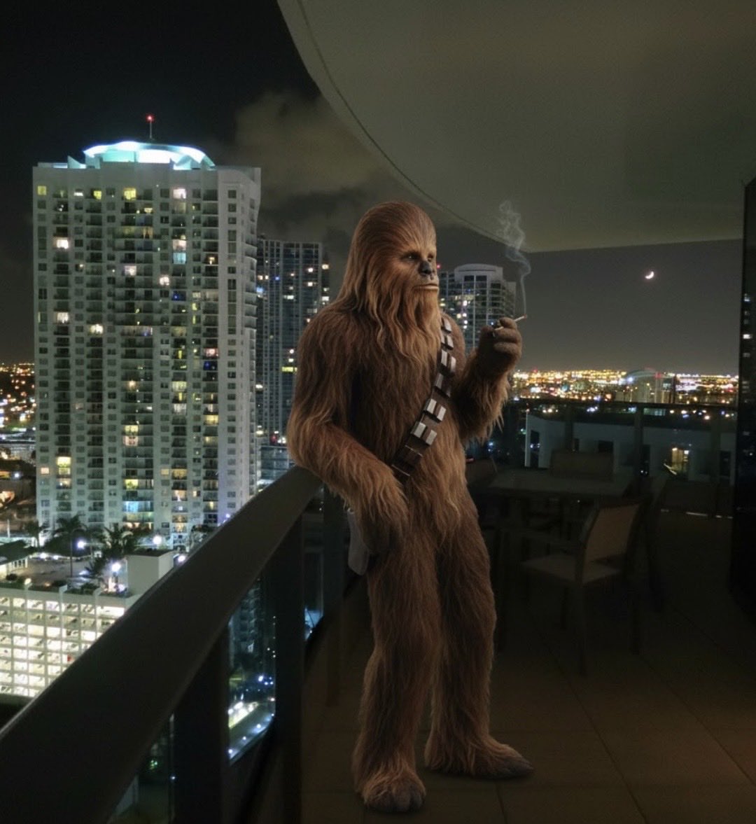 Wookiehunt's tweet photo. @yeezxs_ this u https://t.co/nuklfREsHT