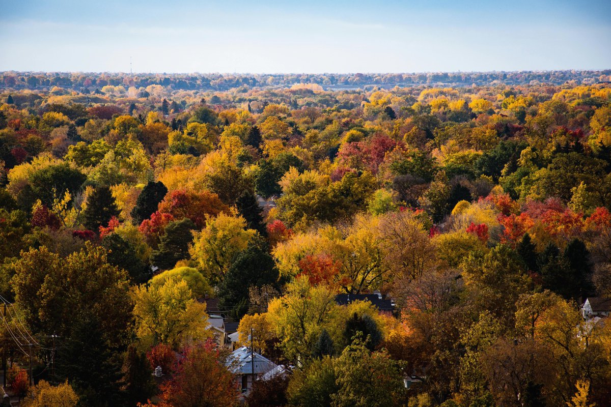 أحمد الصامل📕🇸🇦 مساعد tweet media