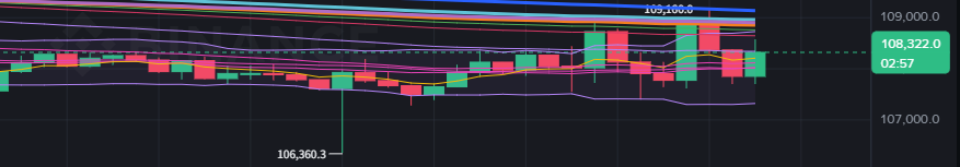 这就是猴市嘛？真是涨见识了