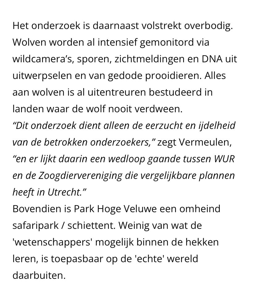 Wolven in Utrecht tweet media