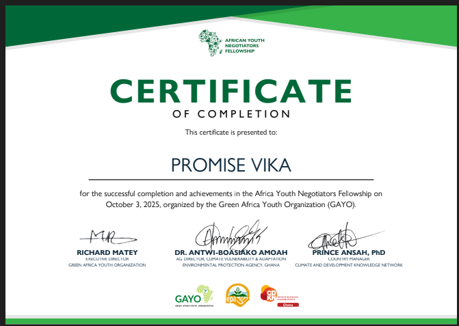 VikaPromise's tweet image. Thrilled to share that I have completed the ##AcAfricanyouthNegotiatorsfellowship organized by #GreenAfricanYouthOrganization In Partnership with #EnvironmentalProtectionAgency Ghana