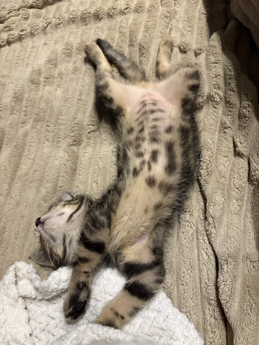 2 minuty później 👇