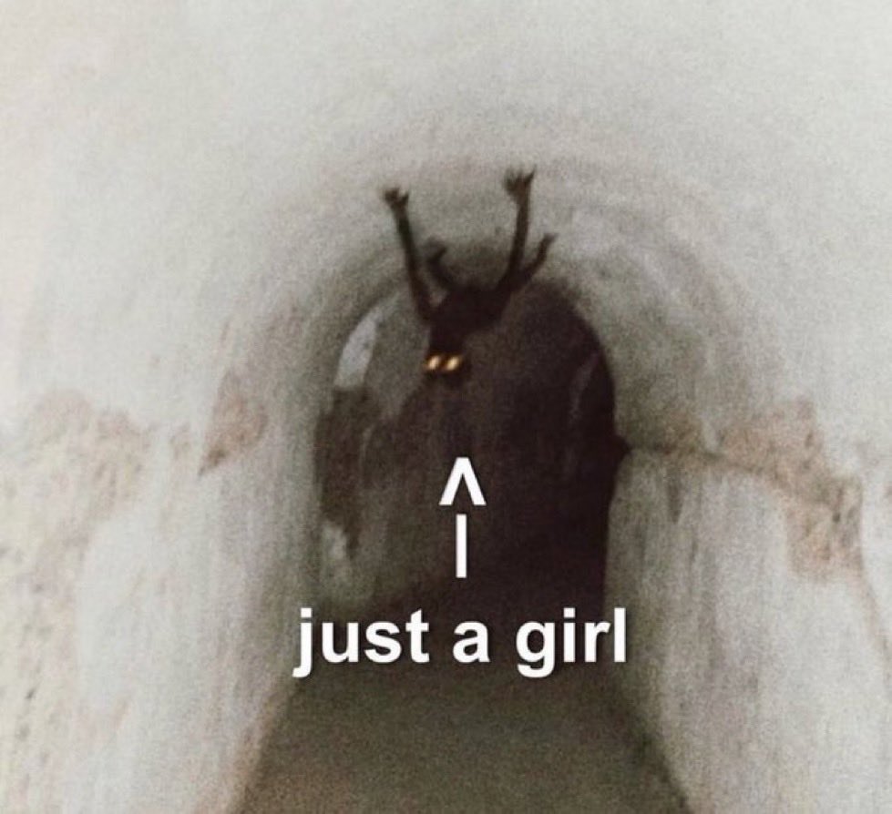 la risa que me da que yo uso el chat con mi novio como un diario íntimo y pongo ahí absolutamente TODOS mis pensamientos el tipo debe pensar que soy este (tiene razón)