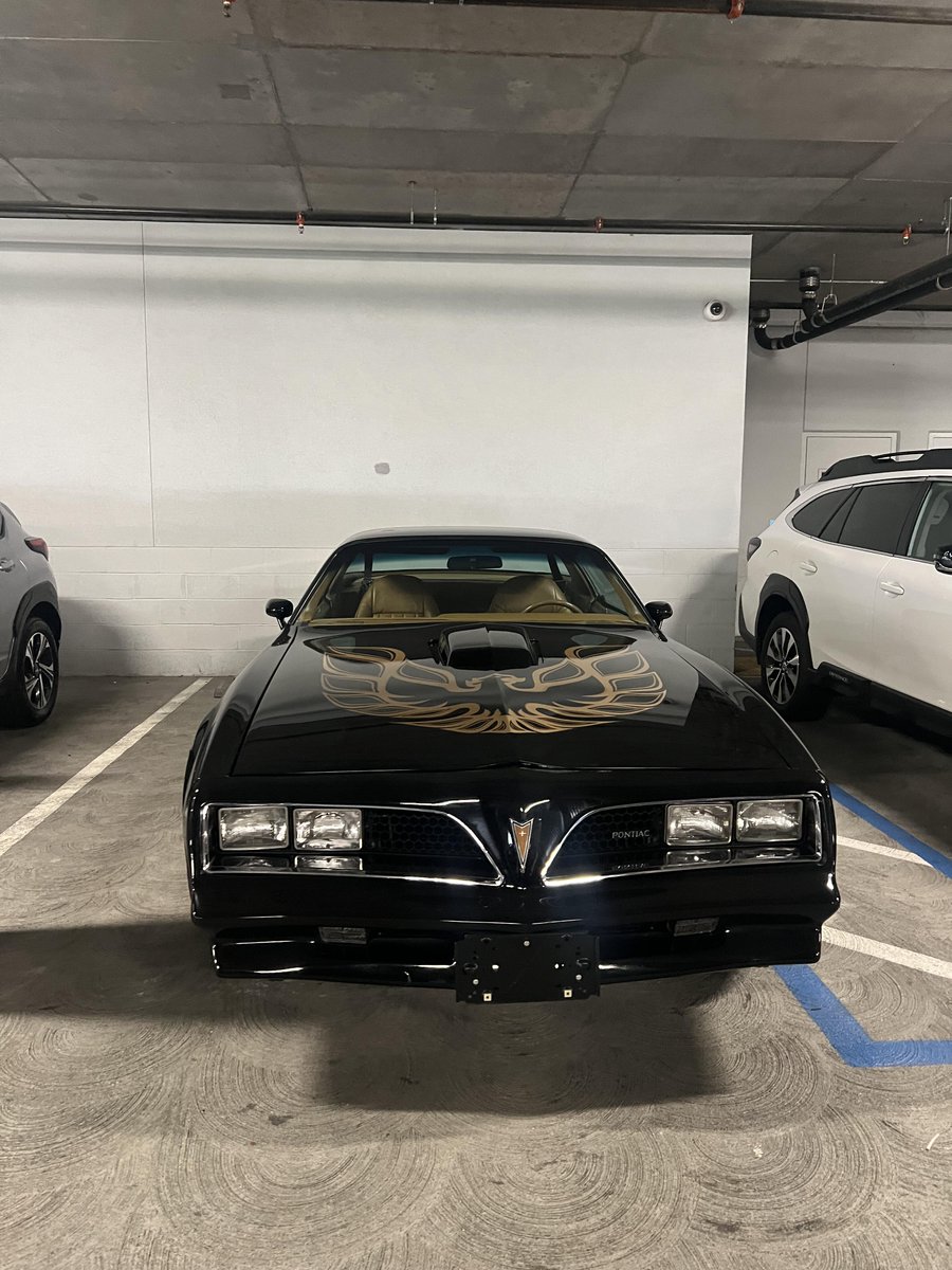 orangeselly's tweet image. Parked in the garage it still seems to be waiting for the next roar
#Pontiac #TransAm #ClassicCar #MuscleCar #RetroVibes
