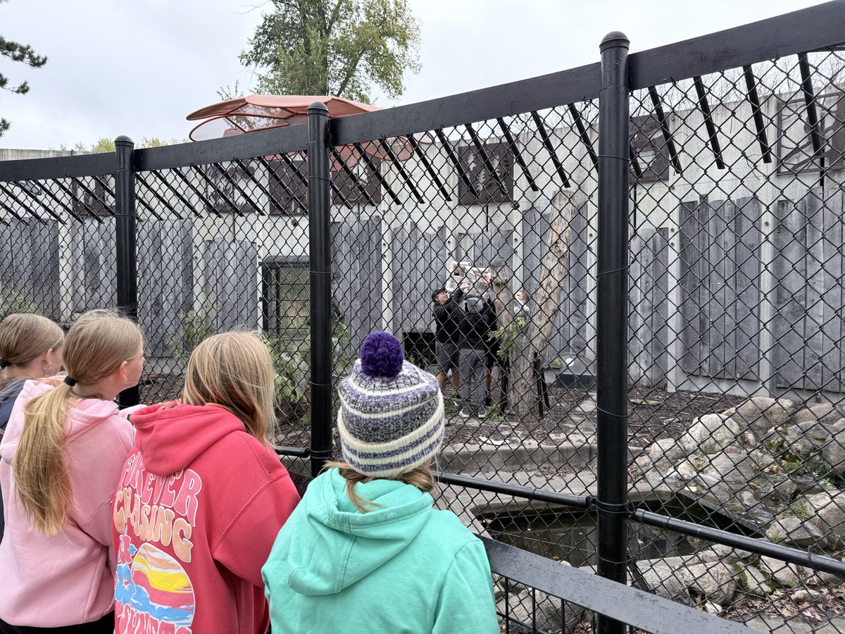 DonlinSTEM's tweet image. Thank you @byron_pto for funding our class trips down to Oxbow Park &amp;amp; Zollman Zoo! First round @ByronMSBears Enrichment Toy projects complete!