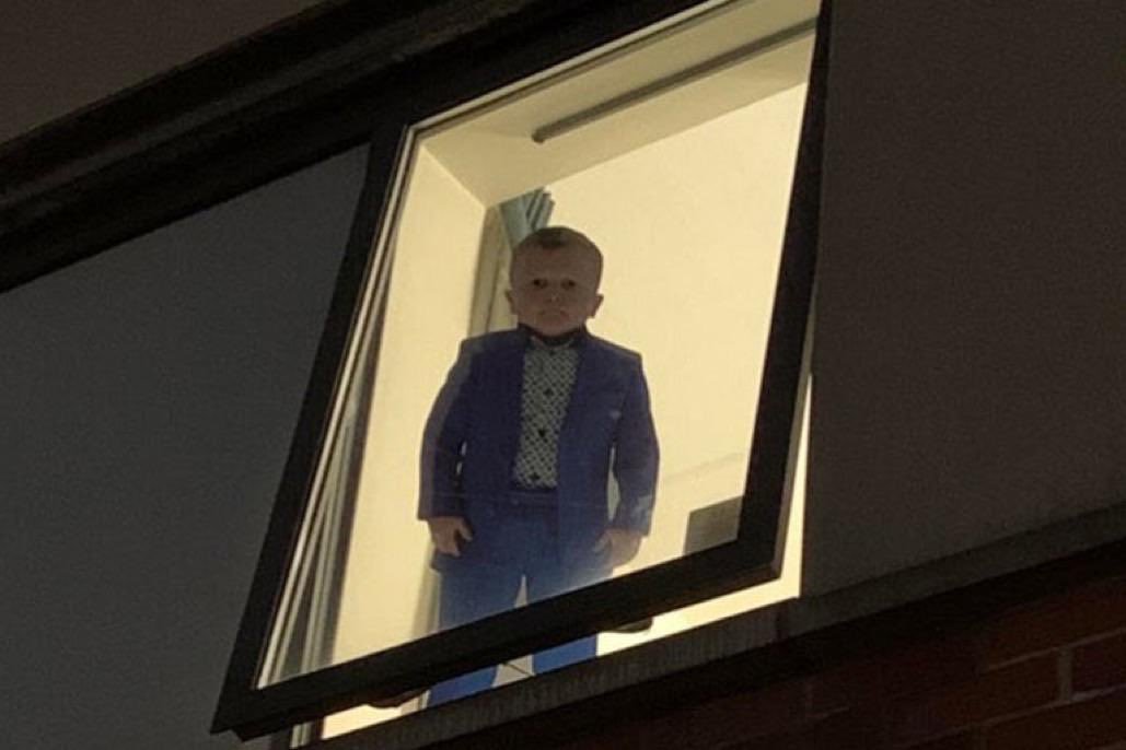 trondbjoroy's tweet image. Me waiting for engineering to release hathor core with nano mainnet support

$HTR