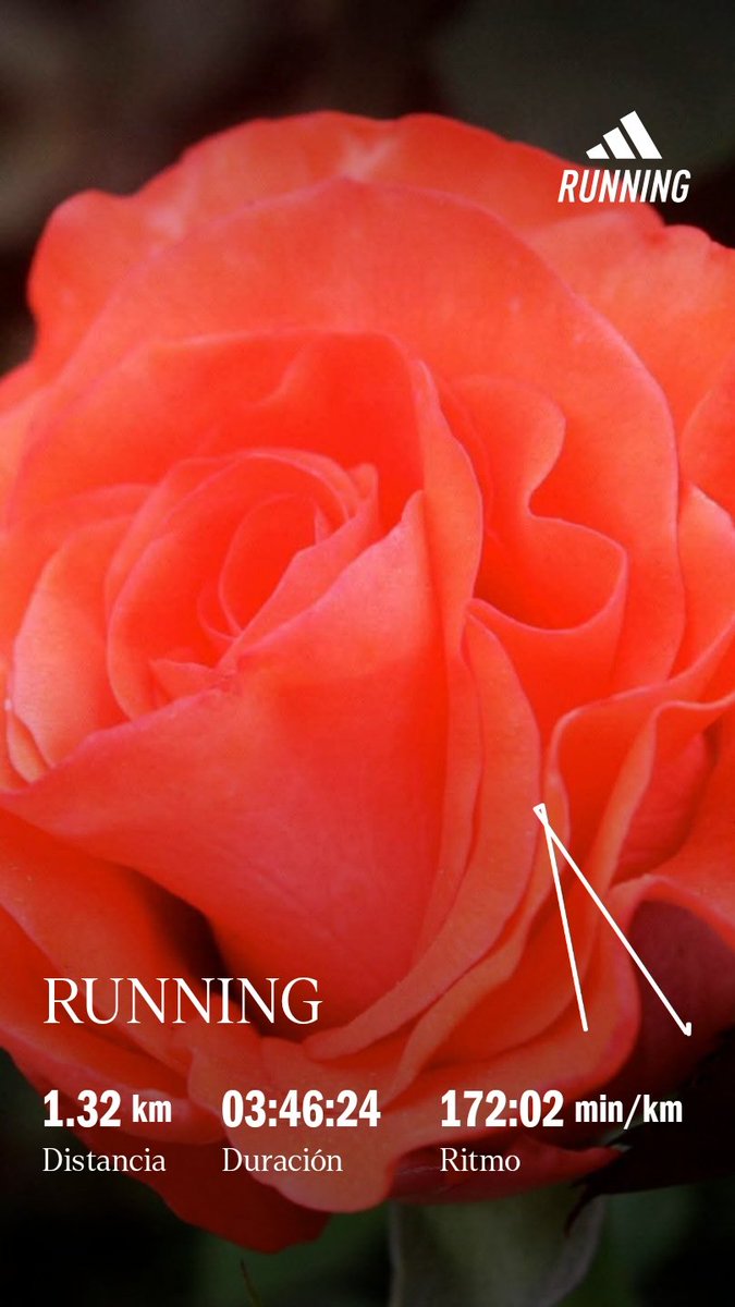 Víctor Vox Vintage (@vic10brit) on Twitter photo 