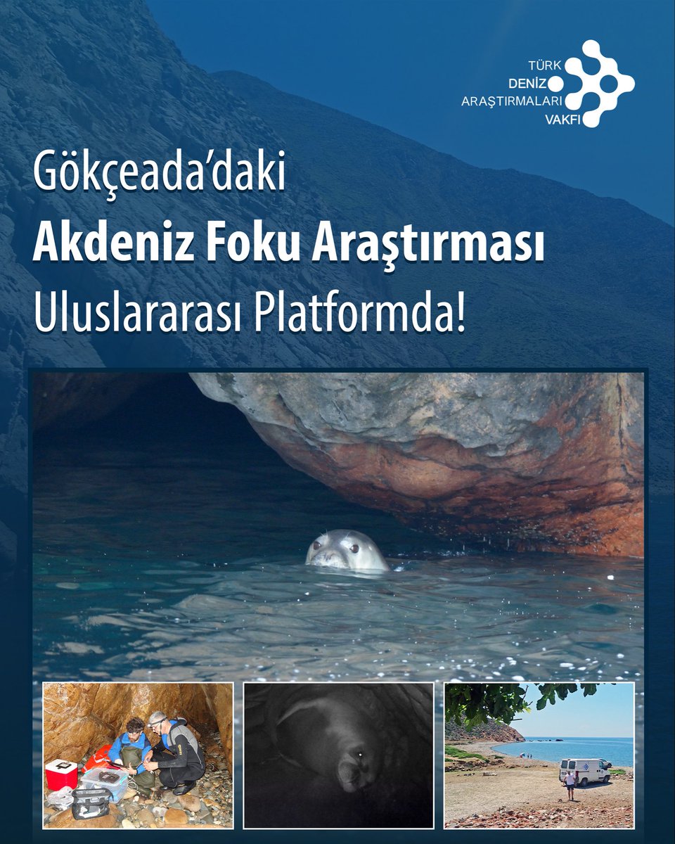 Gökçeada’daki Akdeniz Foku Araştırması Uluslararası Platformda!

Akdeniz foku (Monachus monachus, 1779) üzerine yürütülen araştırma, İstanbul Üniversitesi Su Bilimleri Fakültesi liderliğinde, Türk Deniz Araştırmaları Vakfı (TÜDAV) ortaklığıyla gerçekleştirildi.

Sonuçlar,