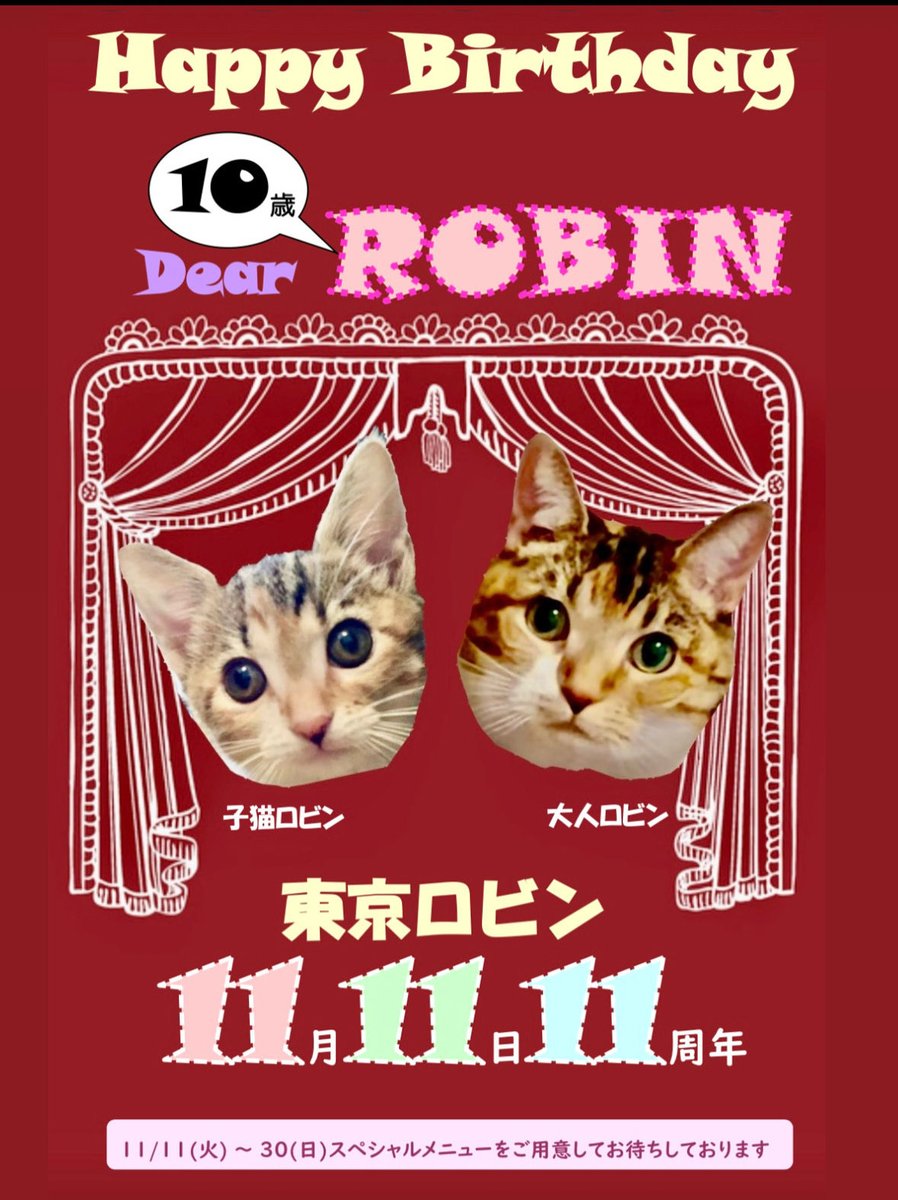 TokyoRobin's tweet image. 皆さまご無沙汰をしております！！！
＼11年と10歳のダブル記念🎉／
恵比寿の小さなワイン居酒屋「東京ロビン」は、
11月11日で11周年を迎えます🍷
そして…同じ日に生まれた看板ねこロビンも10歳🐱🎂
ロビンと夫婦2人で、皆さまのお越しを心よりお待ちしています。

#東京ロビン #11周年 #猫