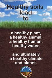 kamallala8's tweet image. #SaveSoil, the Pathway towards a Greener Planet💚 Let’s make it happen🌱🌱🌱🌱