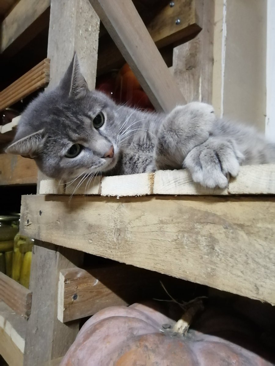 Серёня сегодня на охране