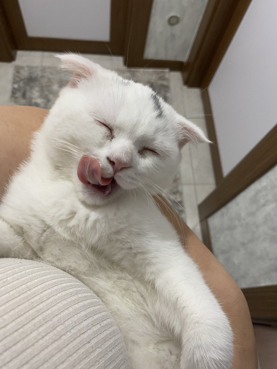 _bilgesahin's tweet photo. 😋 https://t.co/zqDZ6zJVVu