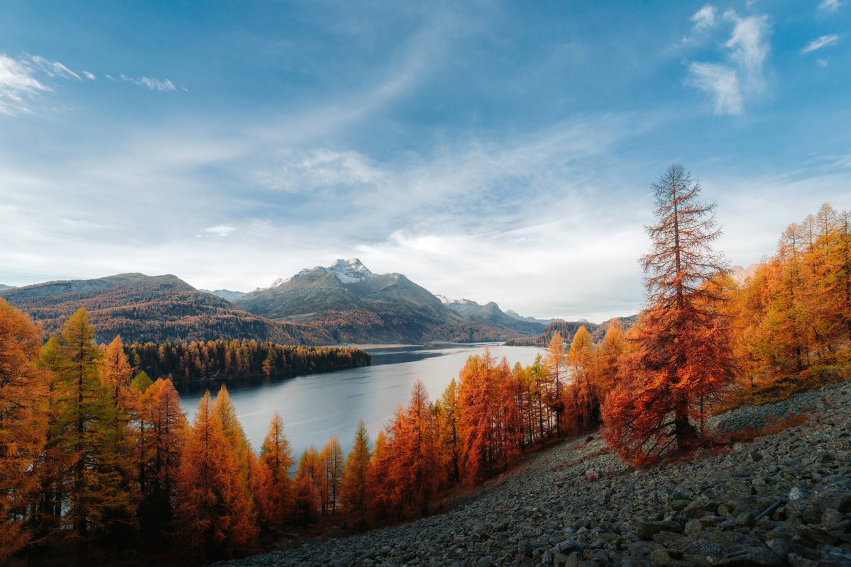 michaelboegl's tweet image. why i love Switzerland