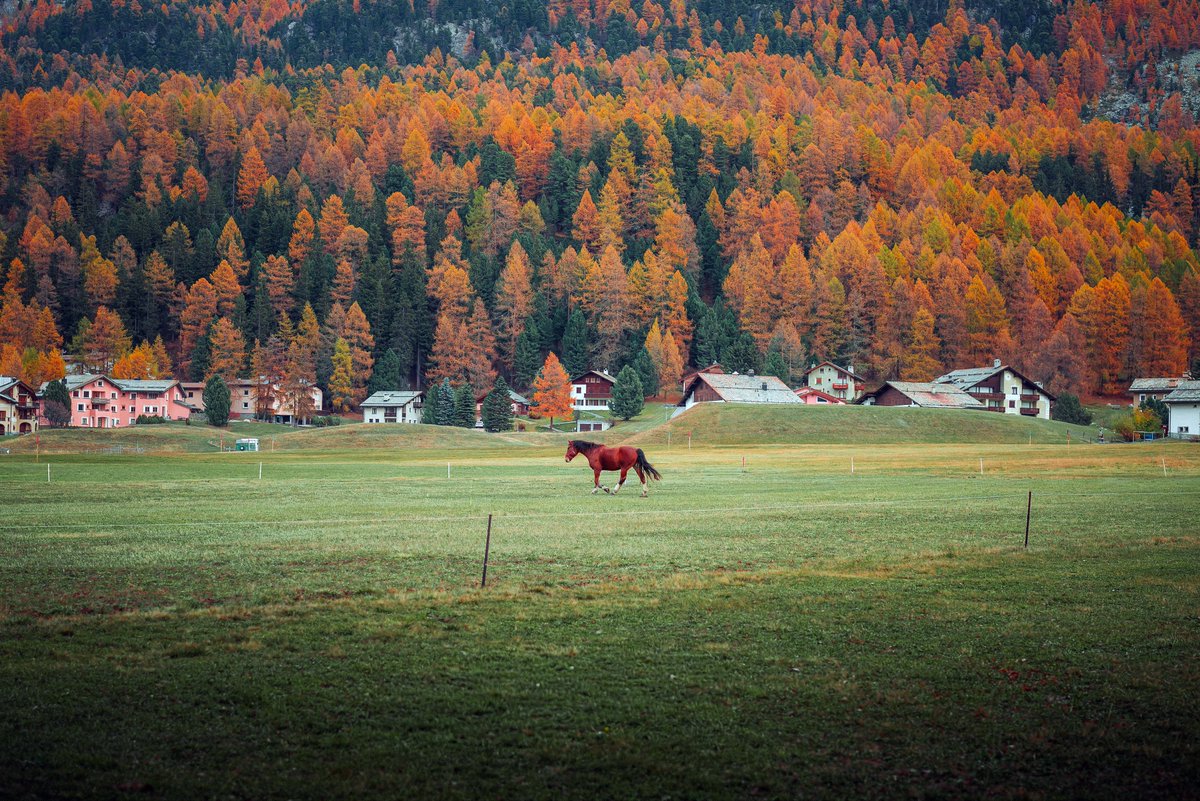 michaelboegl's tweet image. why i love Switzerland